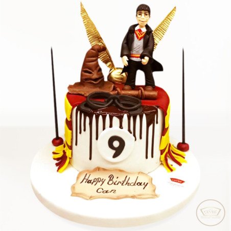 Kişiye Özel Harry Potter Pasta
