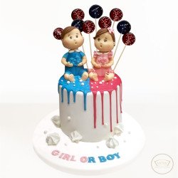 Cinsiyet Partisi Pastası